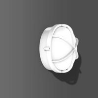 RZB 51052.002 51052.002 Plafondlamp voor badkamer