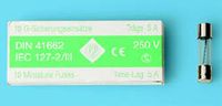 Glaszekering 5 x 20mm traag 4,0A doosje (10 stuks)