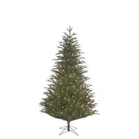 Frasier kerstboom led groen 216L TIPS 1298 h155xd109cm - Black box