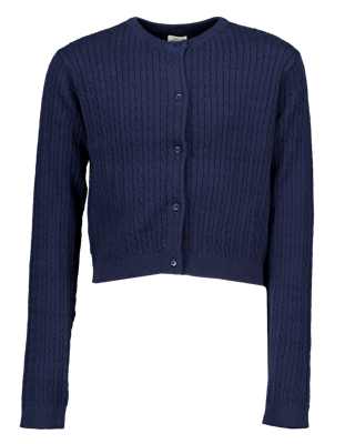 Vest - Blauw