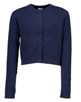 Vest - Blauw