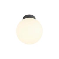 SLV PlafondlampSun 20 zwart bol Ø 20cm - 1008125