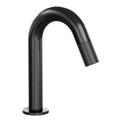 Opbouw Fonteinkraan Brauer Gunmetal Carving Edition Met Gebogen Uitloop Gunmetal Geborsteld PVD