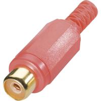 TRU COMPONENTS 1578915 Cinch-connector Bus, recht Aantal polen: 2 Rood 1 stuk(s)