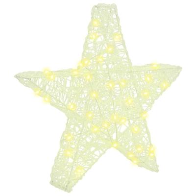 3D Ster met 50 LED Warmwit 55 x 53,5 x 10 cm Acryl