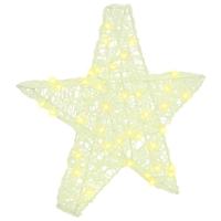 3D Ster met 50 LED Warmwit 55 x 53,5 x 10 cm Acryl