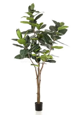 Kunstboom Ficus Elastica 210cm