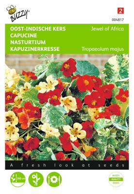 Tropeaolum majus Jewel of Africa - Buzzy