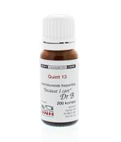 DNH Quint 13 BMYD DNH Quint 13 BMYD