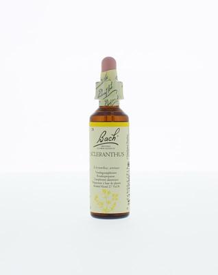 Bach Scleranthus/hardbloem