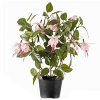 Bellatio flowers & plants Kunstplant met bloemen - fuchsia roze - 30 cm - Kamerplant met bloemetjes