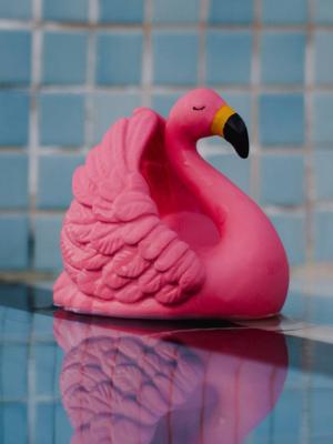 Badspeelgoed - NATRUBA rozen
