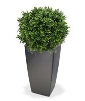 Buxus bol deluxe kunstplant 50cm