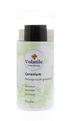Volatile Geranium maroc
