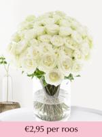 Witte rozen - XL rozen 60 cm - 10 t/m 99 rozen - Snowstorm