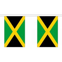 Vlaggenlijn Jamaica 9 meter