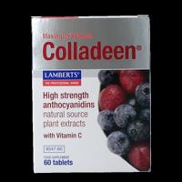 Colladeen 60 Tabletten