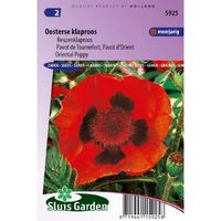 Papaver Orientale zaden Oosterse rode Klaproos - thumbnail