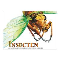 Rebo Publishers Boek over insecten, angstaanjagende wezens