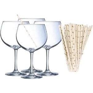 Cocktail set van 6x gin tonic glazen en 100x duurzame rietjes - 700 ml - Cocktailglazen