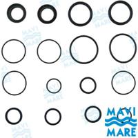 Direcciones hidráulicas y accesorios GS41097 - KIT DE JUNTAS PARA CILINDRO MC300A