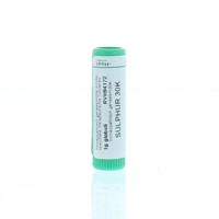 Homeoden Heel Sulphur 30K 1 Gram