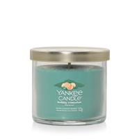 Yankee Candle Holiday winterfest signature small tumbler