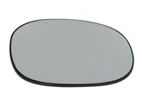 Spiegelglas, buitenspiegel 6102021232851P
