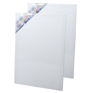 2x stuks canvas schildersdoeken 60 x 40 cm voor hobby verven/schilderen - Schildersdoeken