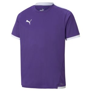 PUMA teamLIGA Voetbalshirt Kids Paars Wit