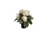 Hortensia h44 cm p wit zijde nepbloem - Louis maes