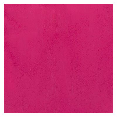 Bruynzeel Ecola plakkaatverf fles 16ml tyrischroze 359
