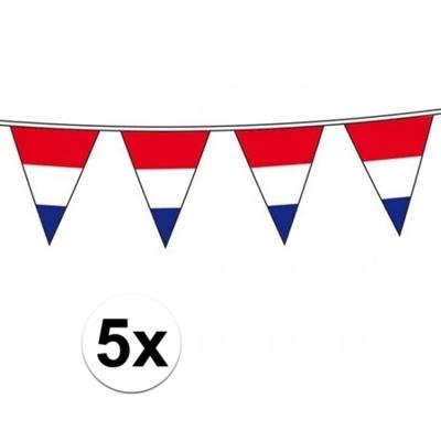 Vlaggenlijn Holland - 5x - Nederlandse vlag - rood wit blauw - 10 meter