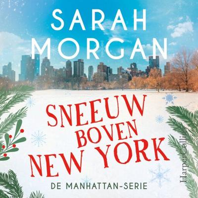 Sneeuw boven New York