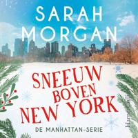 Sneeuw boven New York Sneeuw boven New York