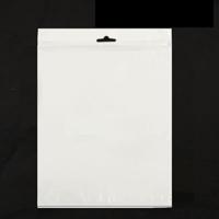 100 Stuks 10.5 inch Anti-statisch Ziplock zakje Afmetingen: 25 x 18 cm
