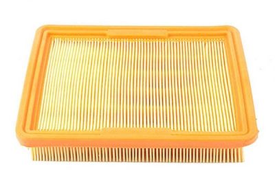 Luchtfilter BSG40135006