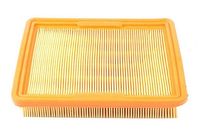 Luchtfilter BSG40135006