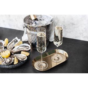 Spatscherm Champagne - 100x50 cm