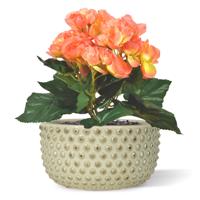 Begonia kunstplant 20cm - zalm