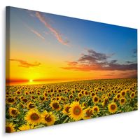 Schilderij - Zonnebloemen veld bij zonsondergang, multi-gekleurd, 4 maten, premium print