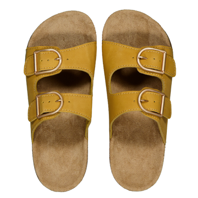 Slippers - Bruin Slippers - Bruin