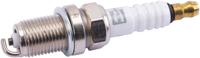 Champion End candle rc9yc4 champio rc9yc4