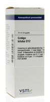 VSM Ginkgo biloba D12 20 Milliliter