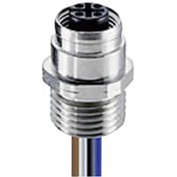 Lumberg Automation 108774 Sensor/actuator connector, geassembleerd M12 Aantal polen (sensoren): 4 Bus, inbouw 0.50 m 1 stuk(s)