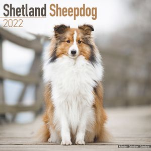 Kalender 2025 Sheltie