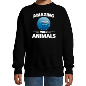 Sweater sharks are serious cool zwart kinderen - haaien/ haai trui 14-15 jaar (170/176)  -