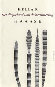 Het dieptelood van de herinnering - Hella S. Haasse - ebook