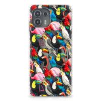 Motorola Edge 20 Lite | TPU Hoesje | Birds