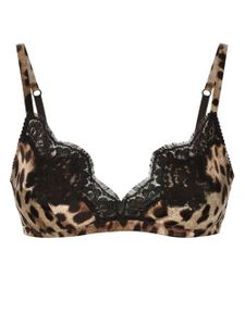 Dolce & Gabbana leopard-print lace-detail bra - Tons neutres